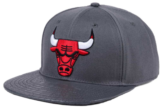 jordan-10-cool-grey-bulls-matching-hat-1