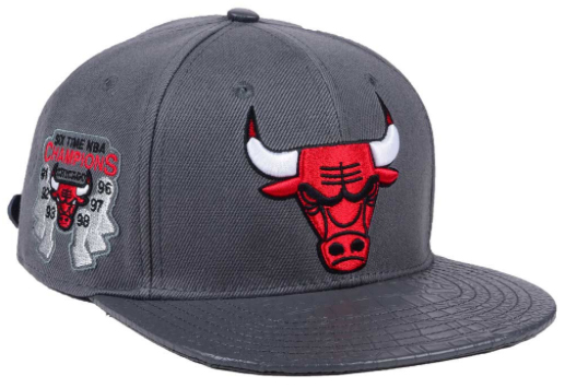 jordan-10-cool-grey-bulls-matching-hat-2