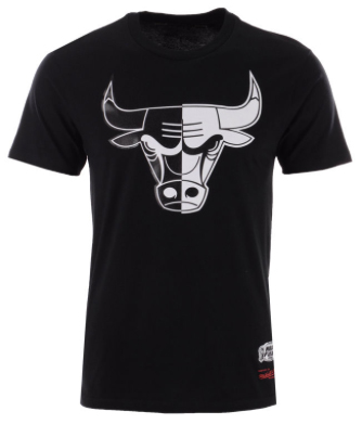 jordan-9-city-of-flight-bull-shirt