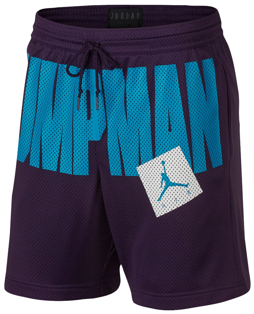 Air Jordan 5 Grape Ice Shorts 