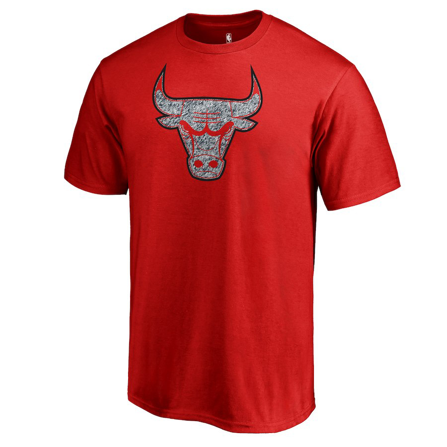 jordan-10-cement-smoke-bulls-t-shirt-match