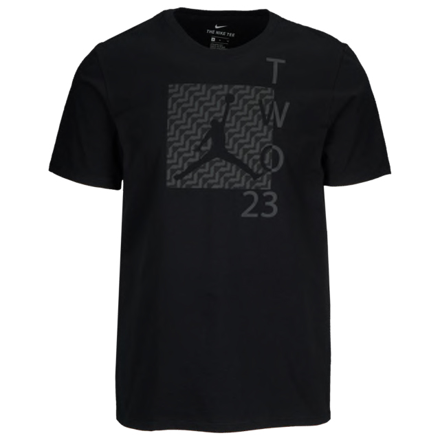 air-jordan-12-winterized-sneaker-tee-shirt-2