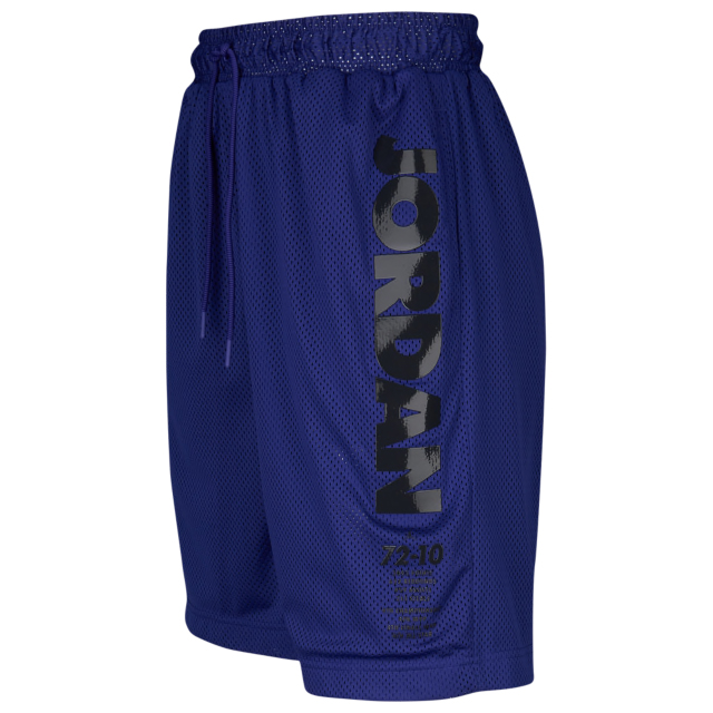 jordan-11-concord-shorts-1