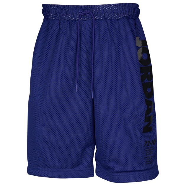 jordan-11-concord-shorts-2