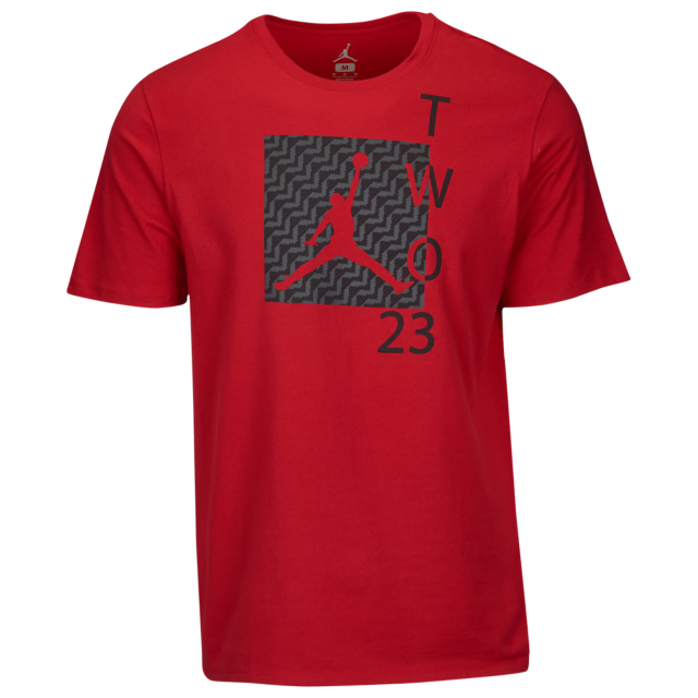 winterized-jordan-12-tee-shirt-2