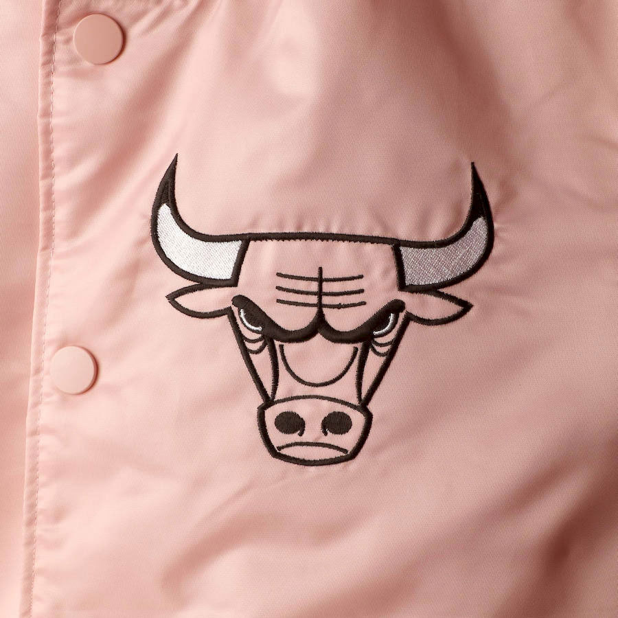 air-jordan-6-aleali-may-pink-bulls-jacket-match-2
