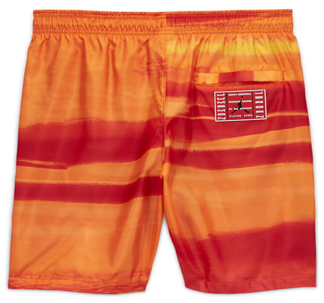 jordan-11-low-concord-bred-shorts-2