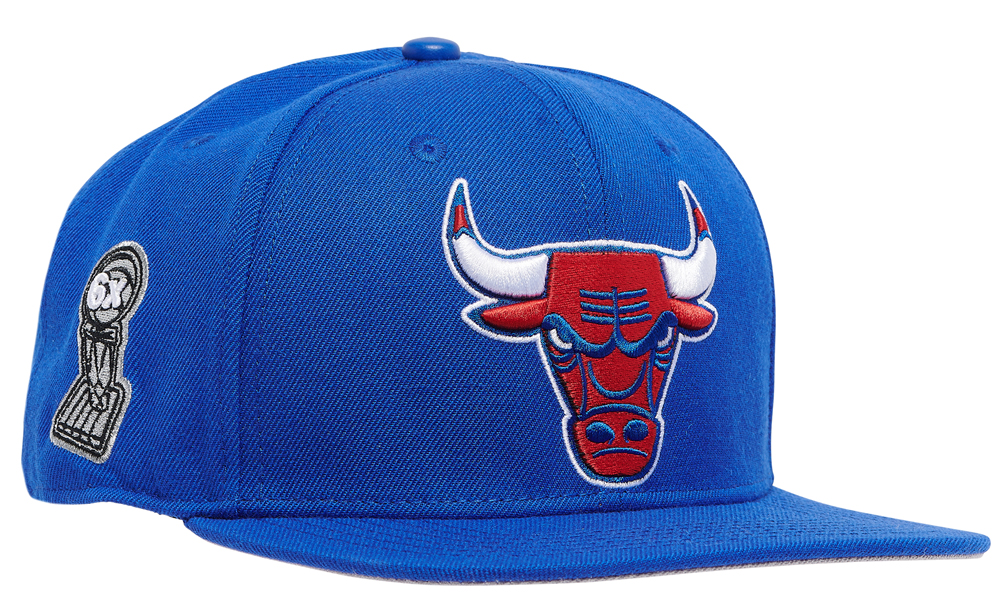 air-jordan-13-french-blue-chicago-bulls-hat-pro-standard-2