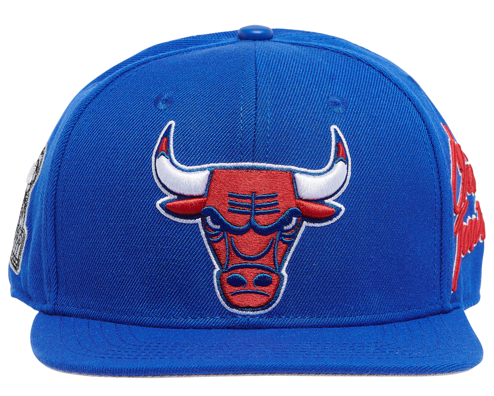 air-jordan-13-french-blue-chicago-bulls-hat-pro-standard-3