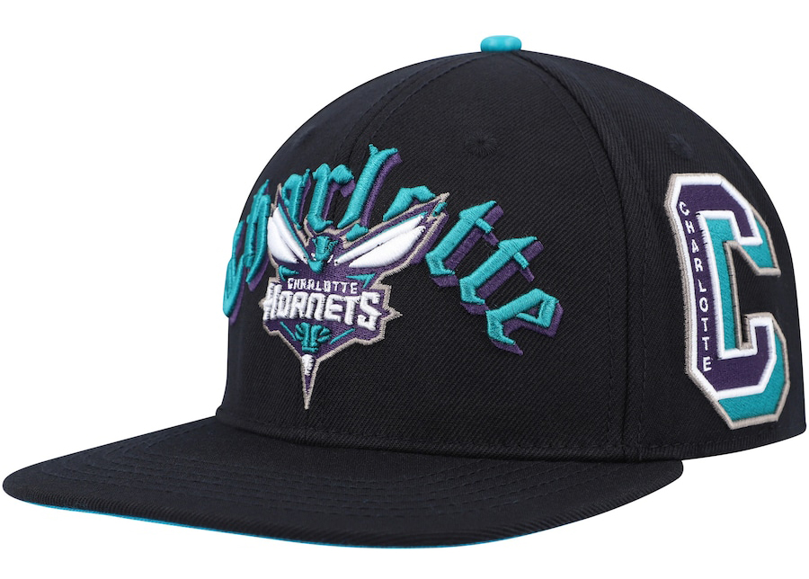 Charlotte-Hornets-Pro-Standard-Hat-1