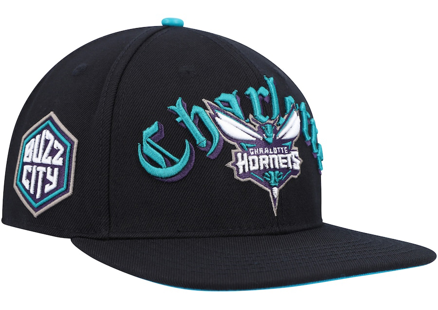 Charlotte-Hornets-Pro-Standard-Hat-2