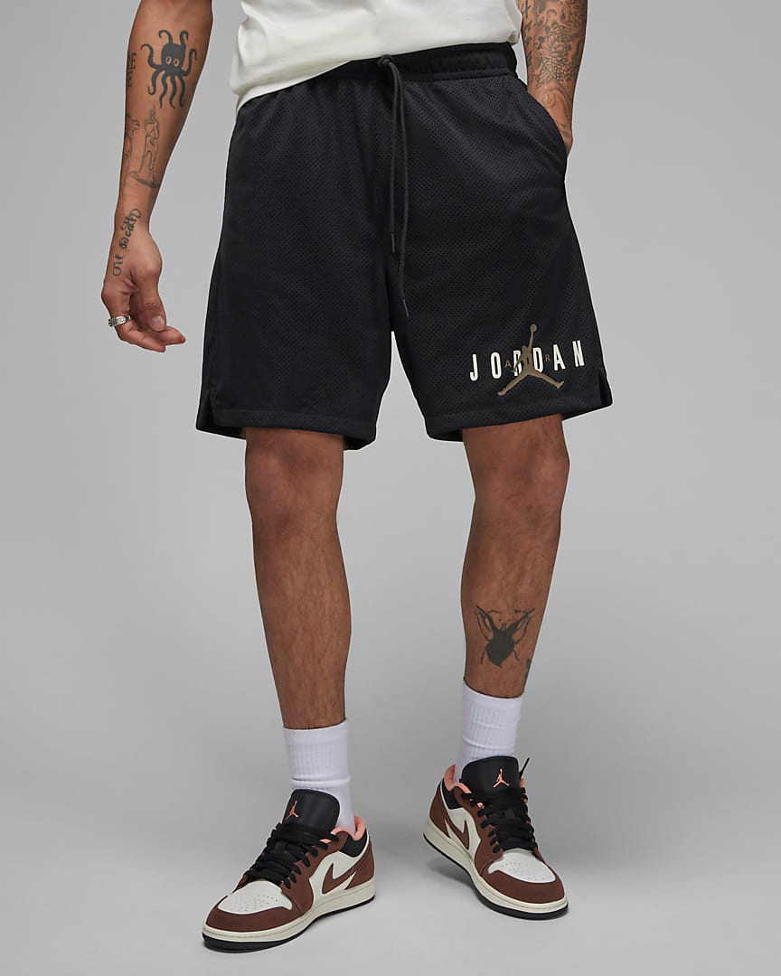 Jordan-Essentials-Mesh-Shorts-Black-Palomino-1