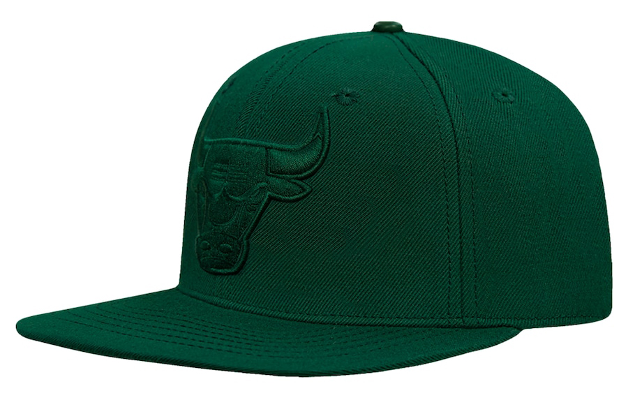 Chicago-Bulls-Pro-Standard-Forest-Green-Tonal-Hat-1