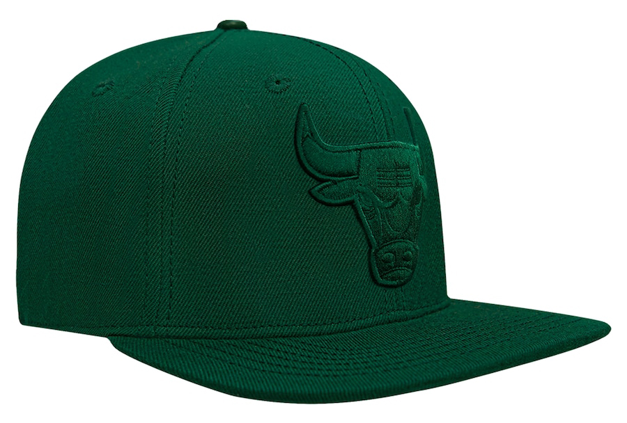 Chicago-Bulls-Pro-Standard-Forest-Green-Tonal-Hat-2