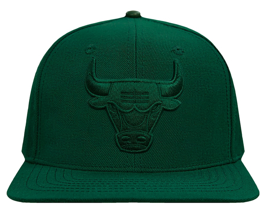 Chicago-Bulls-Pro-Standard-Forest-Green-Tonal-Hat-3