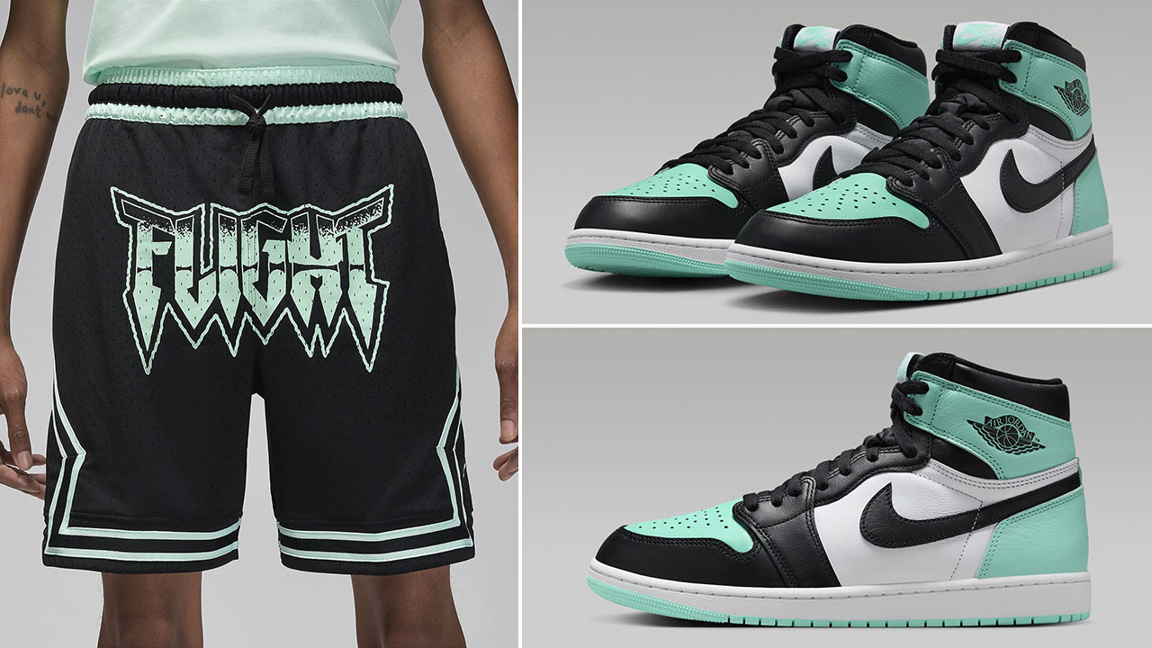 Nike Jordan Bfly Shorts 3
