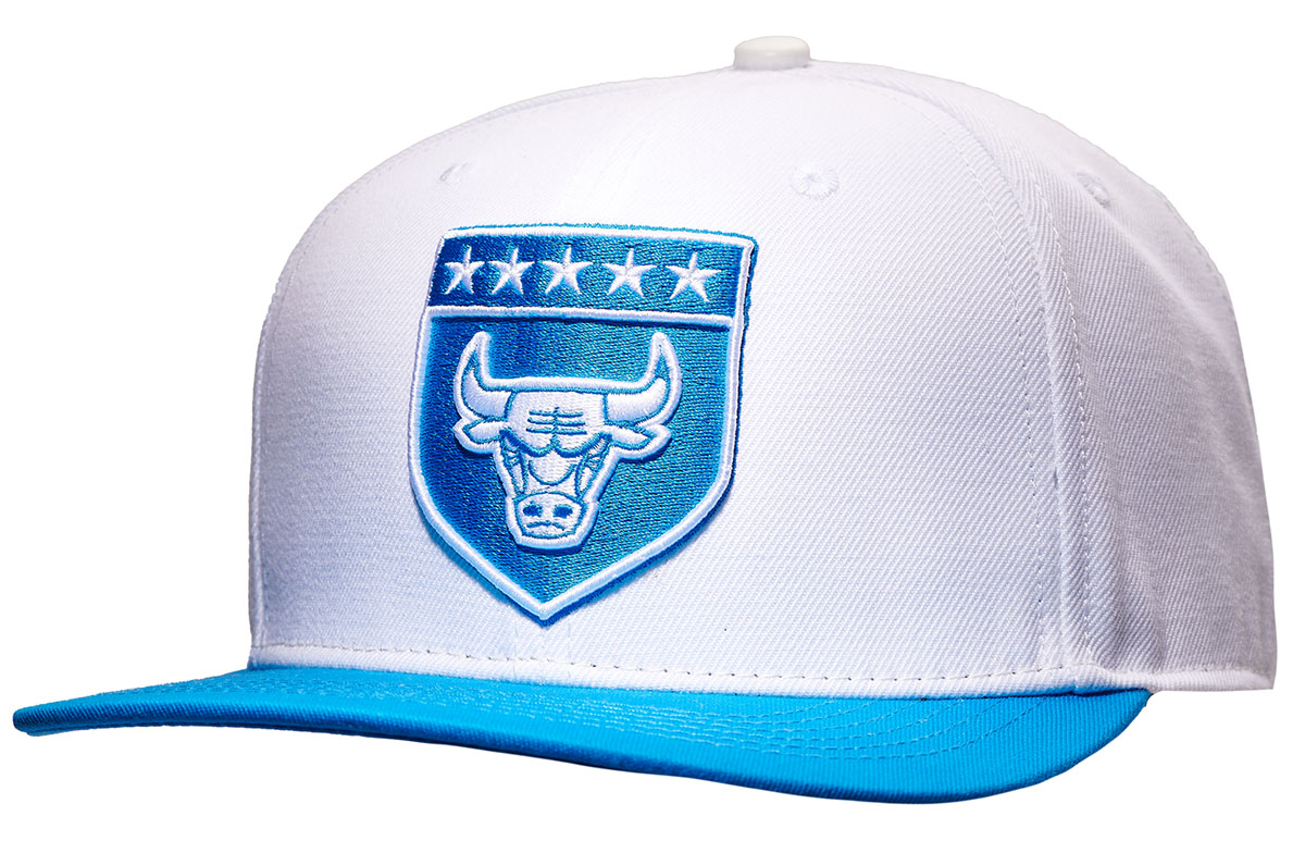 Air Jordan 4 Military Blue Chicago Bulls Hat Pro Standard 1