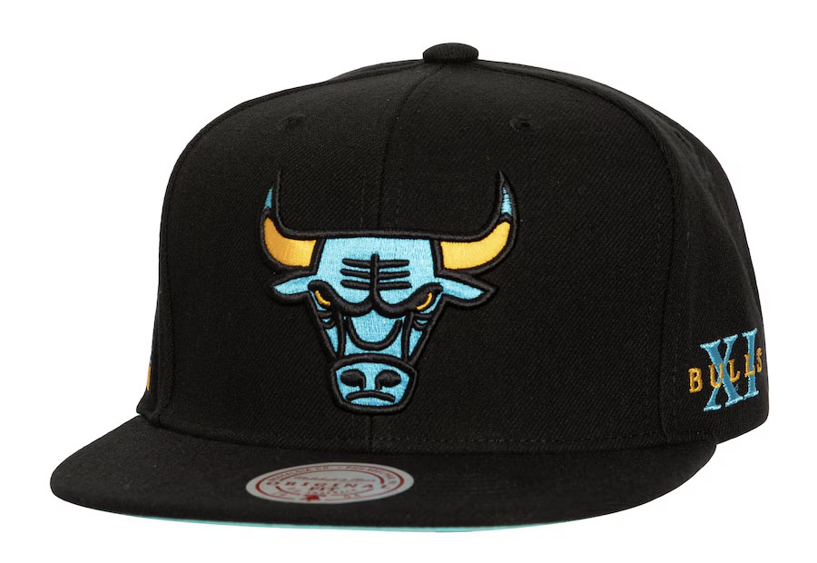 Chicago Bulls Mitchell and Ness Air Jordan 11 Gamma Sneaker Hook Snapback Hat 1