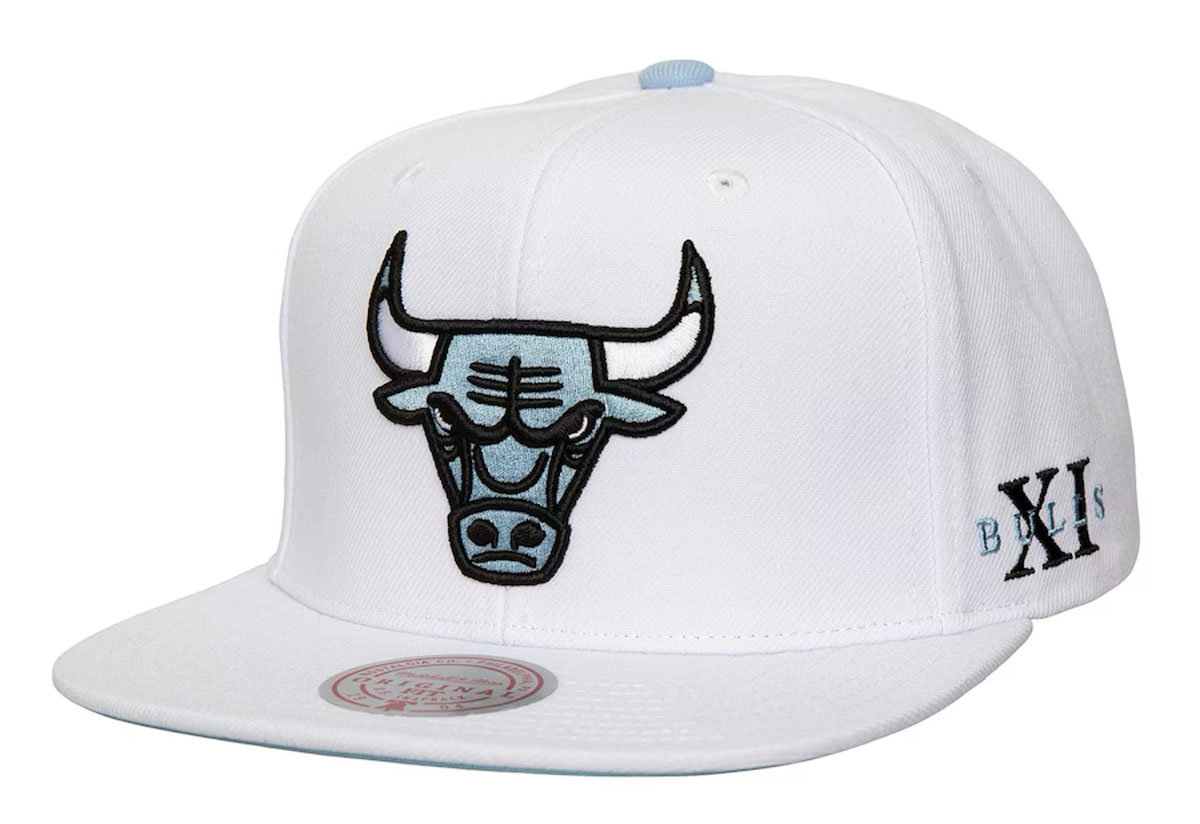  Chicago-Bulls-Mitchell-and-Ness-Sneaker-Hook-Snapback-Hat-Air-Jordan-11-Legend-Blue-Columbia-1