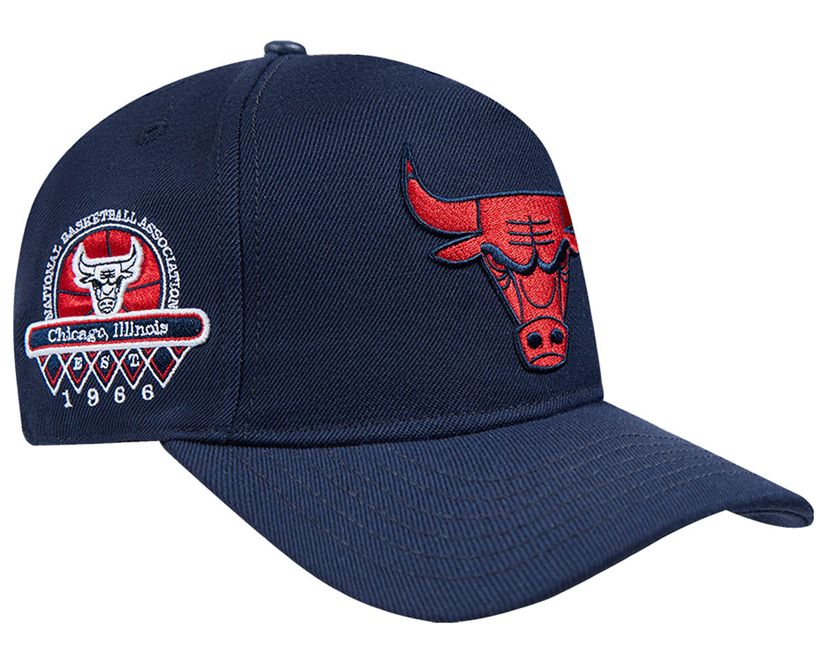 Chicago Bulls Pro Standard Olympic Snapback Hat