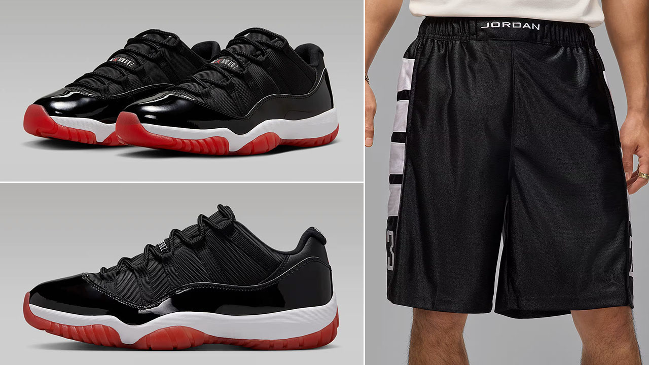 Air Jordan 11 Low Bred x Jordan Brooklyn Cat Scratch Black Shorts Outfit