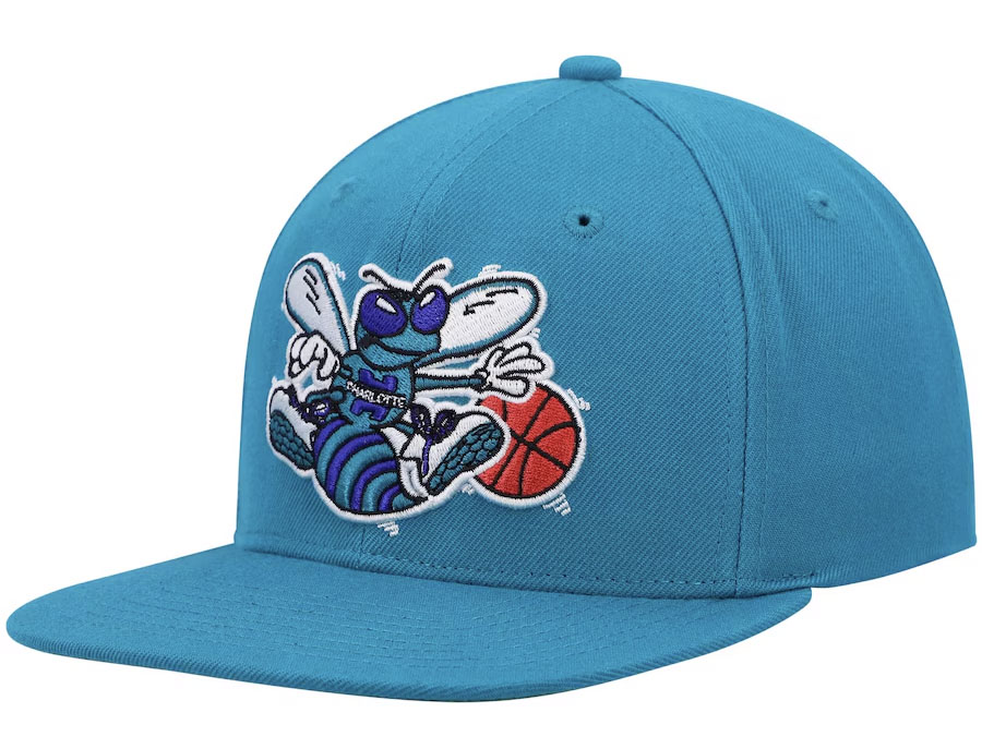 Air Jordan 5 Grape 2025 Charlotte Hornets Mitchell and Ness Hat