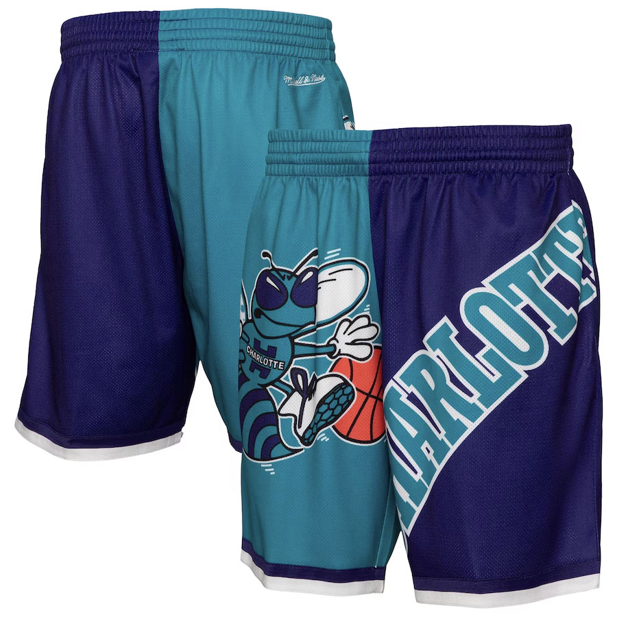 Air Jordan 5 Grape 2025 Charlotte Hornets Mitchell and Ness Shorts