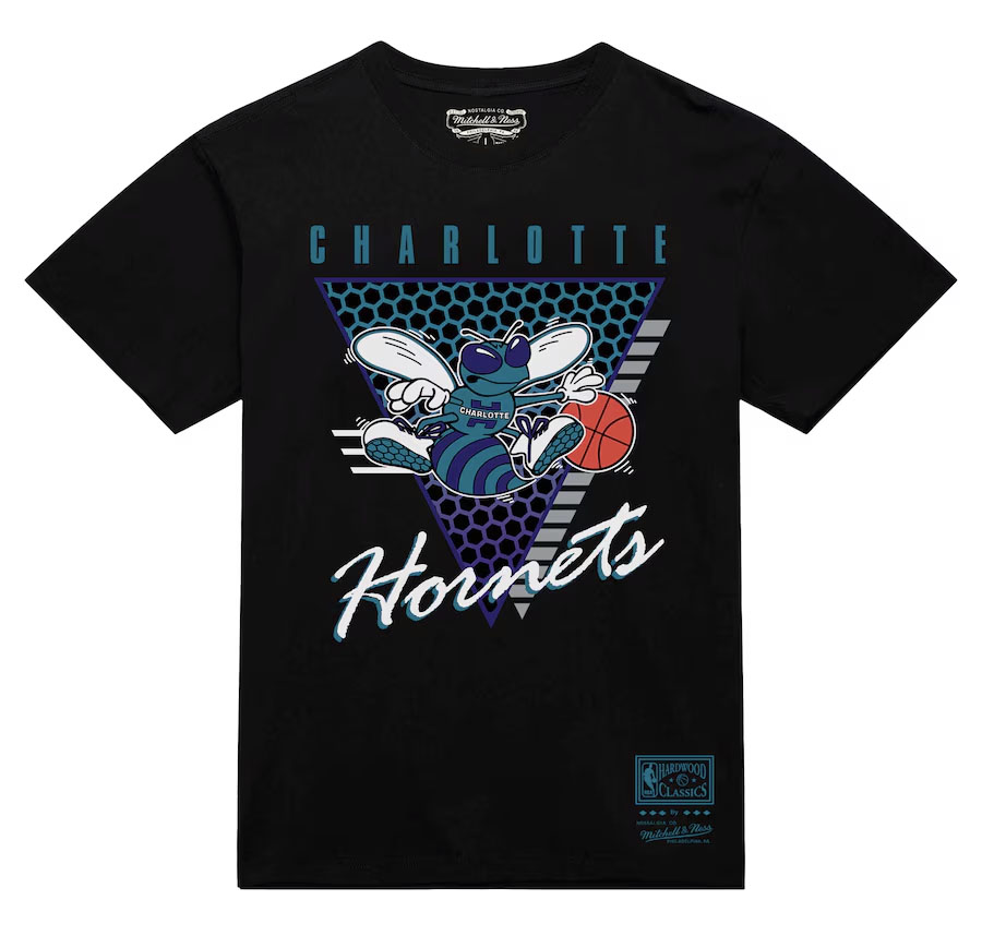 Air Jordan 5 Grape 2025 Charlotte Hornets Mitchell and Ness T Shirt