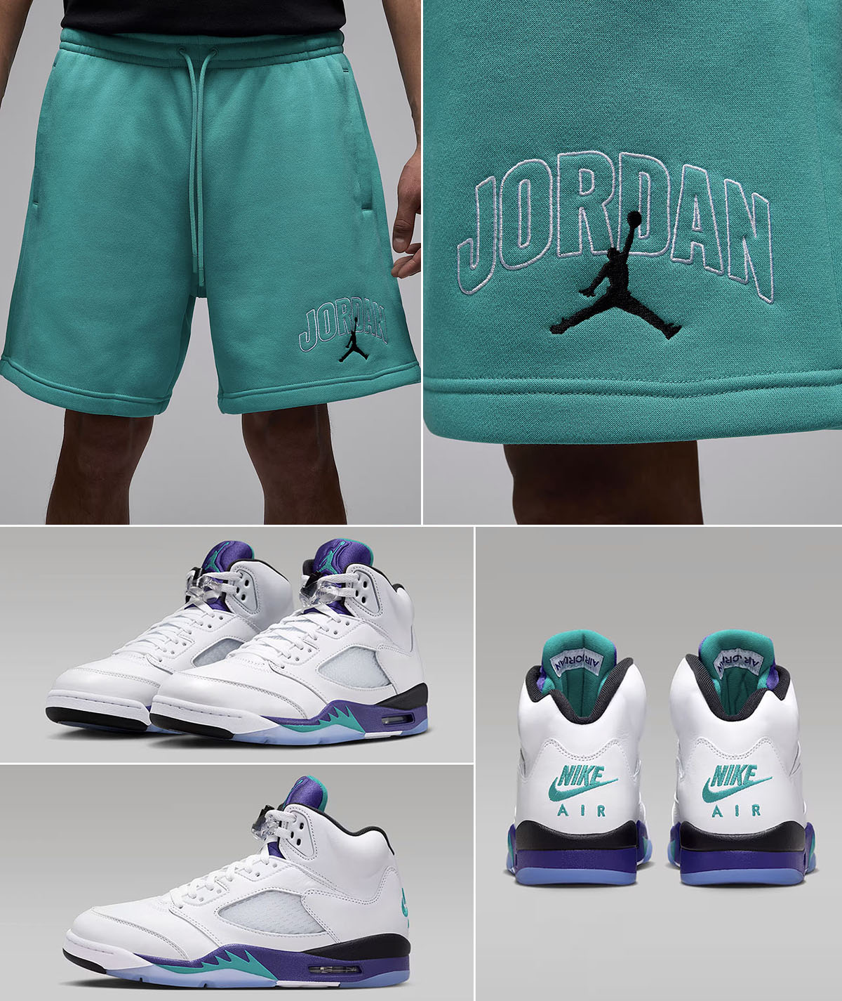 Air Jordan 5 Grape 2025 x Jordan Brooklyn Fleece Arch Logo Shorts