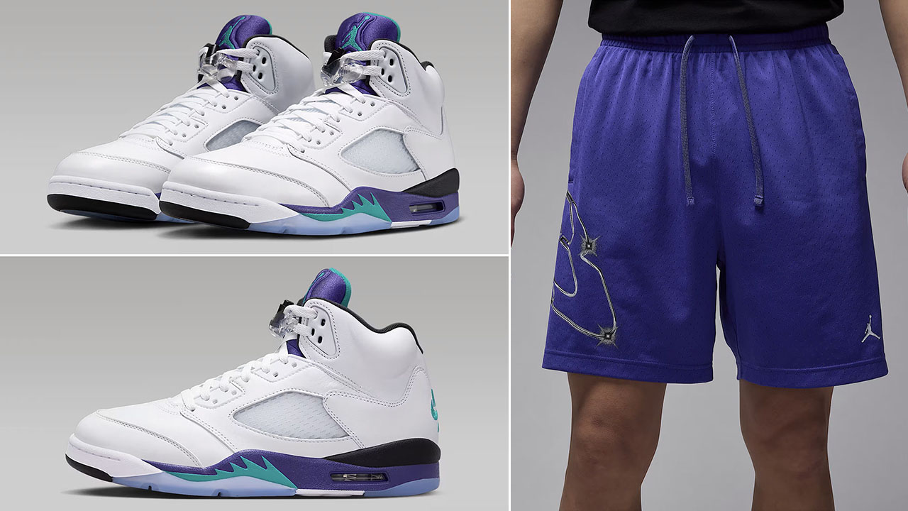 Air Jordan 5 Grape 2025 x Jordan Sport Graphic Shorts