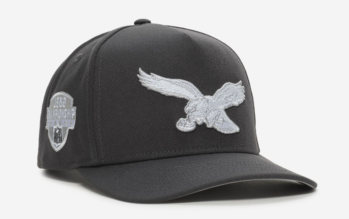 Air Jordan 9 Cool Grey 2025 New Era Philadelphia Eagles Snapback Hat