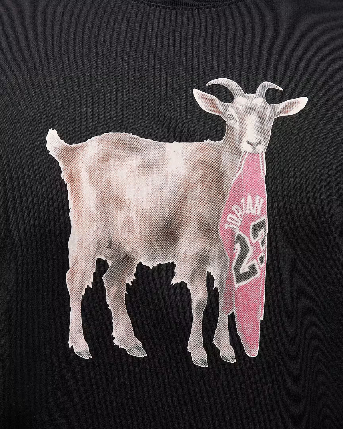 Jordan Goat T Shirt Black 2