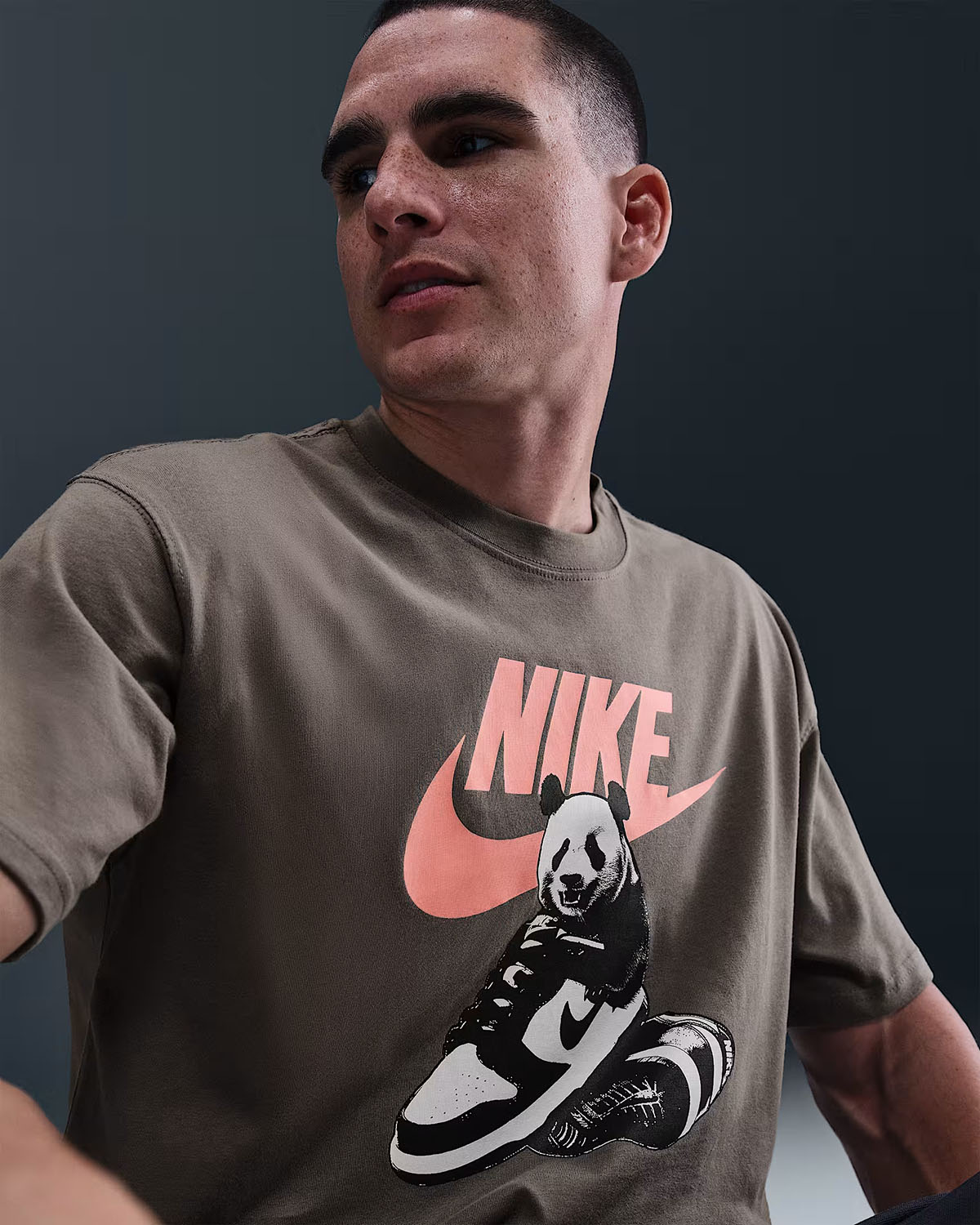 Nike Sportswear Panda Dunk T Shirt Cave Stone 2