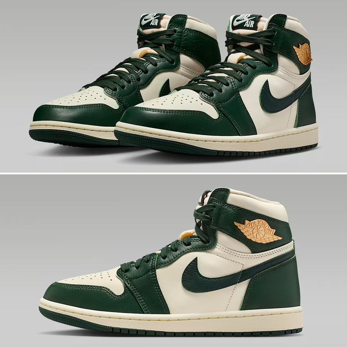 Air Jordan 1 High OG Fir Womens Shoes FD2596-101