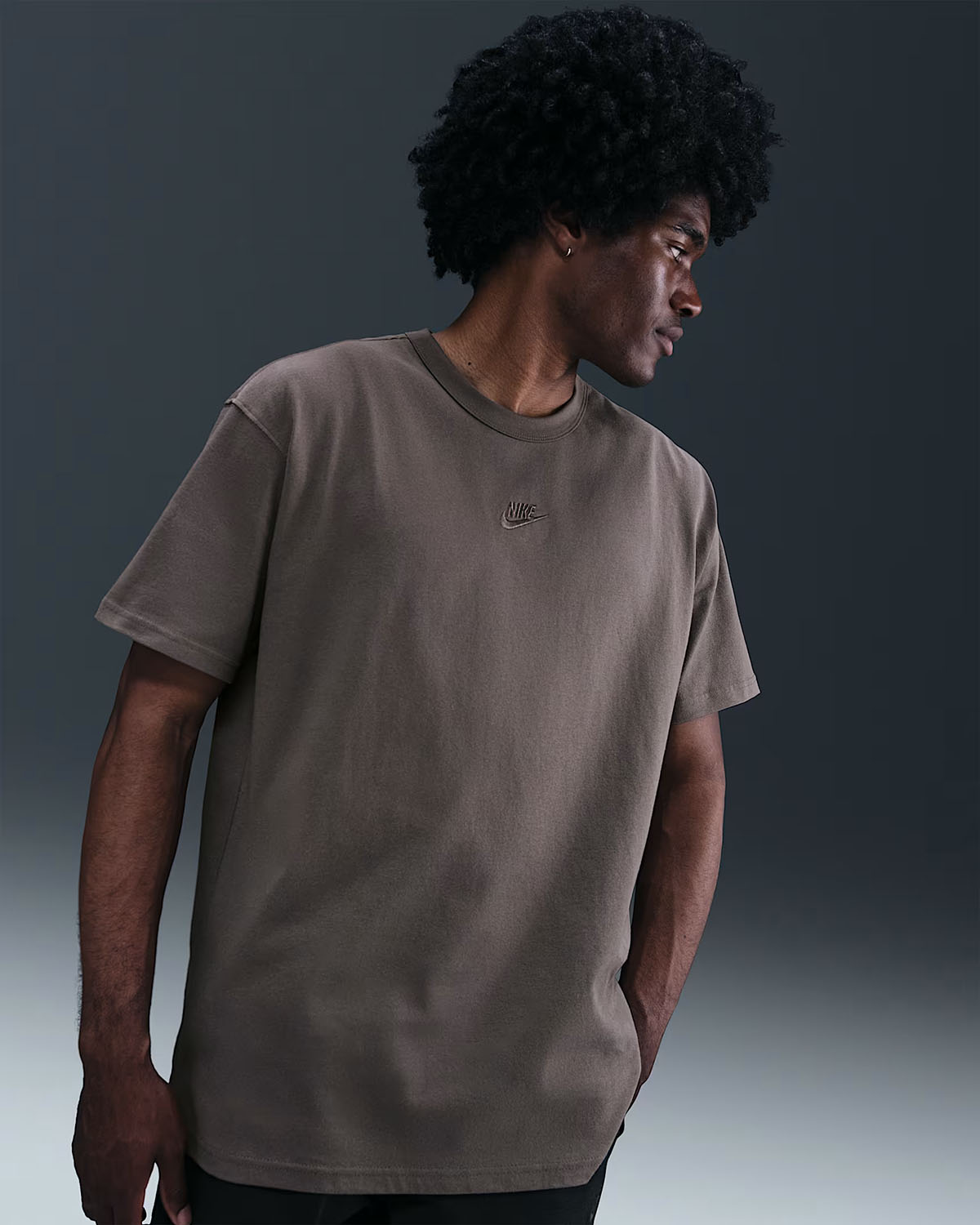 Nike Sportswear Premium Essentials Mens T Shirt Cave Stone