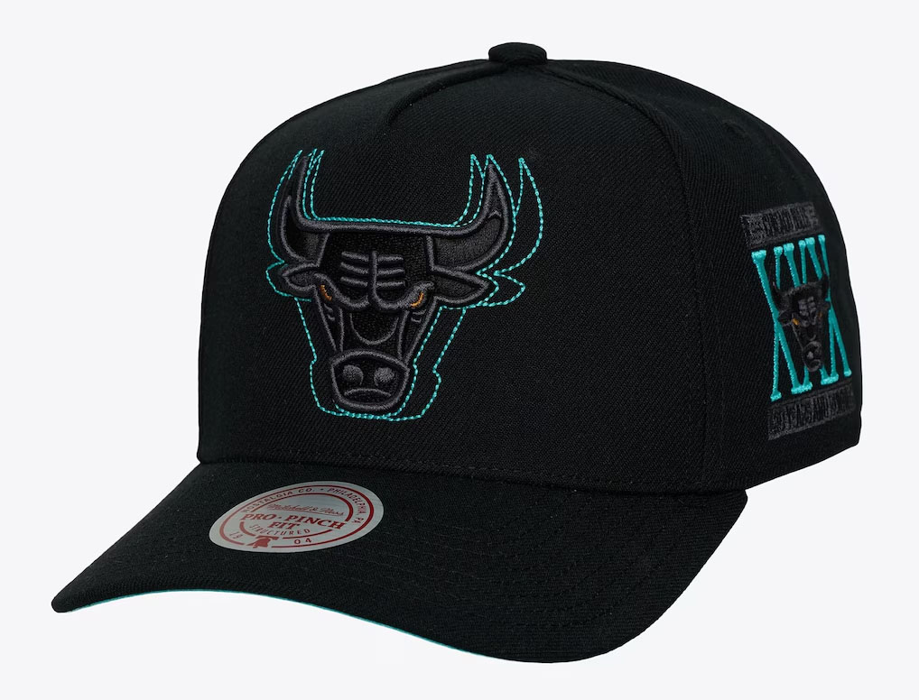 Air Jordan 11 Gamma Blue 2025 Chicago Bulls Hat Mitchell and Ness Pro Crown Curved Brim Snapback Cap 1