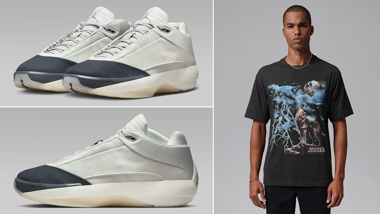 Air Jordan 40 Wolf Grey Sneakers and T Shirt