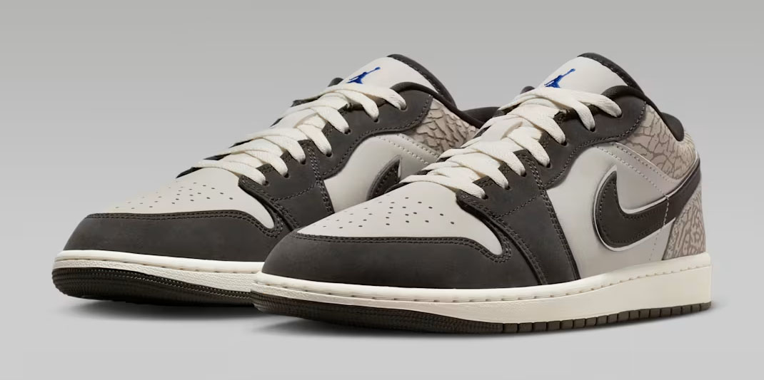 Air Jordan 1 Low SE Gamma Grey 1