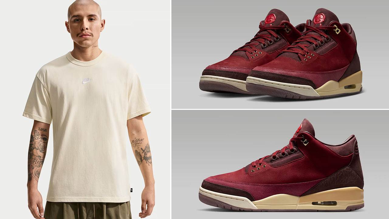 Air Jordan 3 BIN 23 x Nike Sportswear Premium Essentials Men's T-Shirt Outfit to Match Sneakers