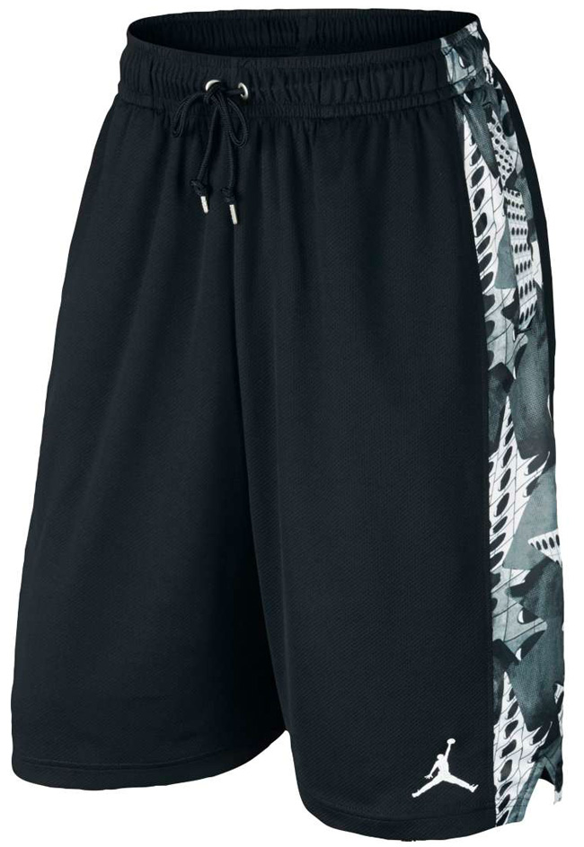 Air Jordan 6 Low Chrome Shorts | SneakerFits.com