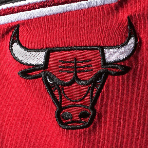 Air Jordan 13 Chicago Bulls Starter Jersey | SneakerFits.com