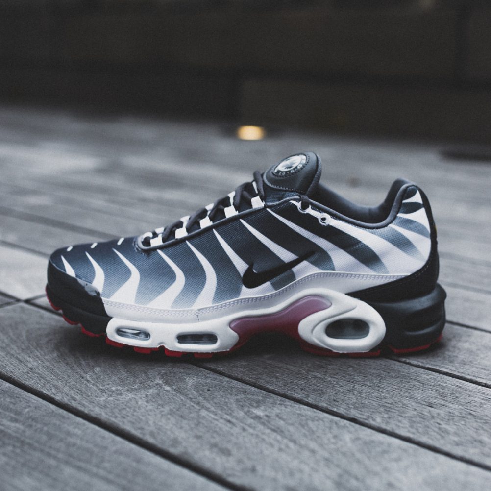 Nike Air Max Plus Before After the Bite | SneakerFits.com