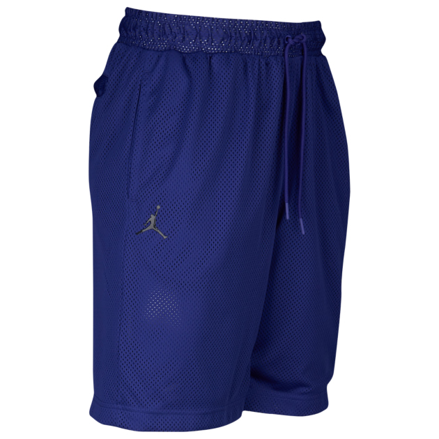 Air Jordan 11 Concord Shorts | SneakerFits.com