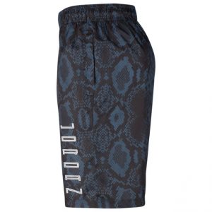 jordan aj11 snakeskin shorts