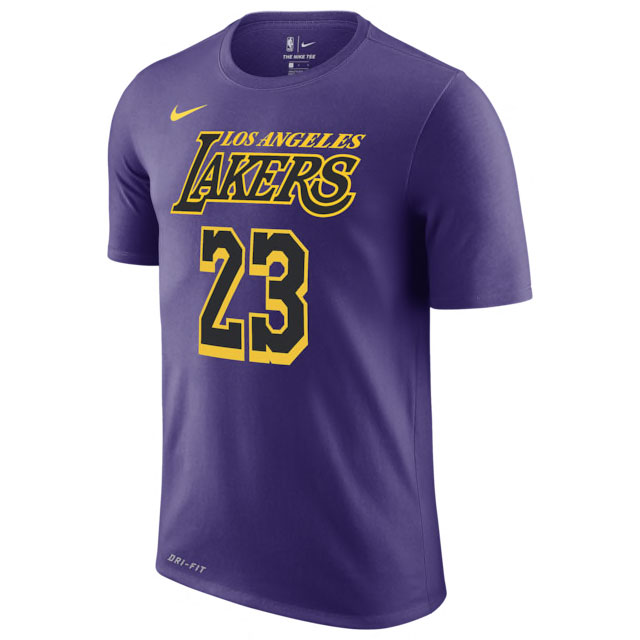 Nike LeBron 17 Lakers Hoodie Shirt and Pants to Match | SneakerFits.com