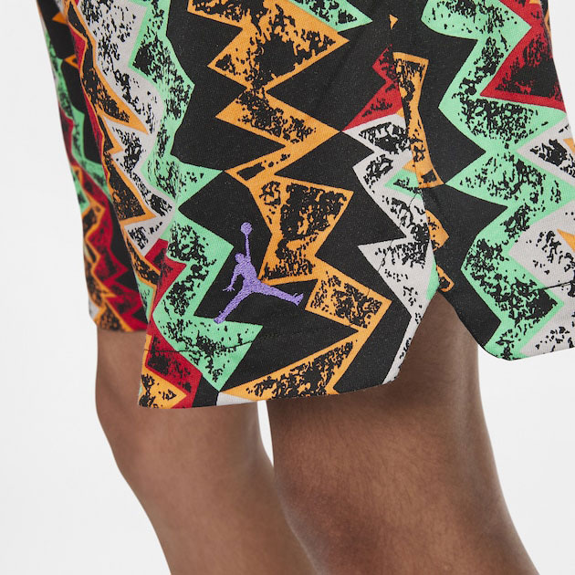Shorts to Match the Air Jordan 6 Hare | SneakerFits.com