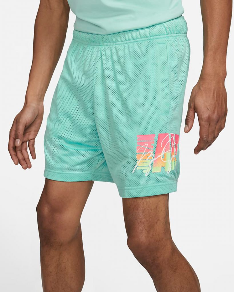 air jordan fleece shorts