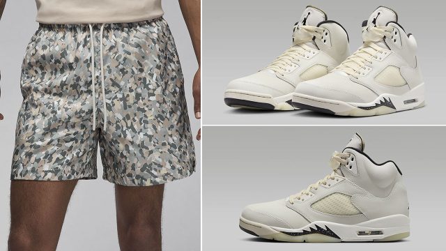 Air Jordan 10 Shadow Coundown Pack Featured Shorts