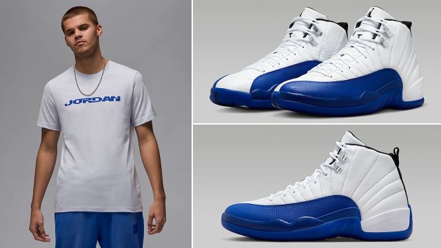 Air Jordan 12 Blueberry MVP T Shirt