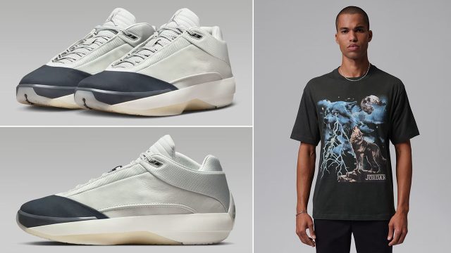 Air Jordan 40 Wolf Grey Sneakers and T Shirt